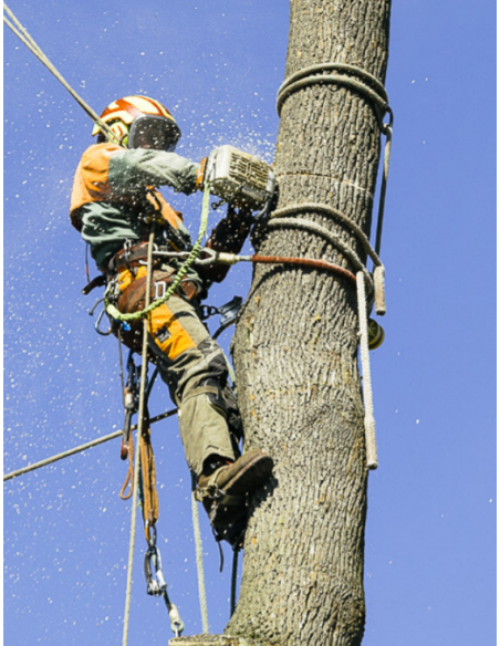 Ramponi per arborismo DR100 regolabili in Acciaio - risalita arrampicata  -  - Anticaduta